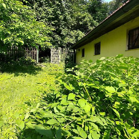 Apartman Lucie Liběchov Esterno foto
